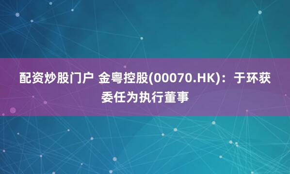 配资炒股门户 金粤控股(00070.HK)：于环获委任为执行董事