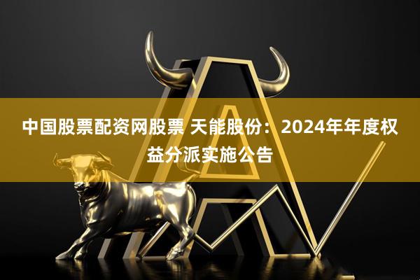 中国股票配资网股票 天能股份：2024年年度权益分派实施公告