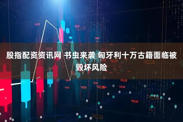 股指配资资讯网 书虫来袭 匈牙利十万古籍面临被毁坏风险