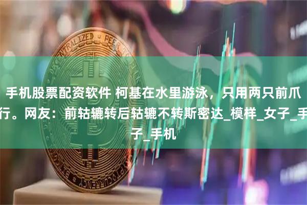 手机股票配资软件 柯基在水里游泳，只用两只前爪滑行。网友：前轱辘转后轱辘不转斯密达_模样_女子_手机