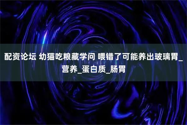 配资论坛 幼猫吃粮藏学问 喂错了可能养出玻璃胃_营养_蛋白质_肠胃