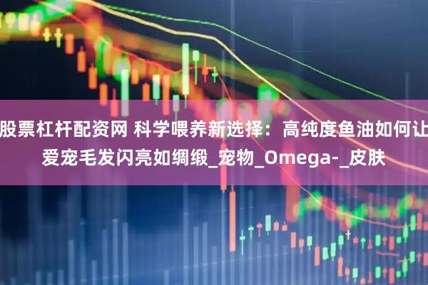 股票杠杆配资网 科学喂养新选择：高纯度鱼油如何让爱宠毛发闪亮如绸缎_宠物_Omega-_皮肤