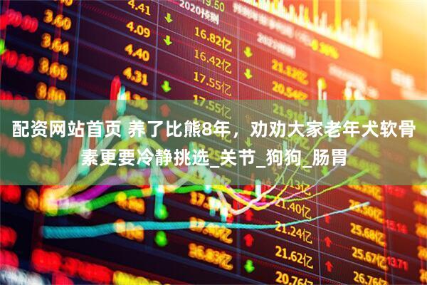 配资网站首页 养了比熊8年，劝劝大家老年犬软骨素更要冷静挑选_关节_狗狗_肠胃